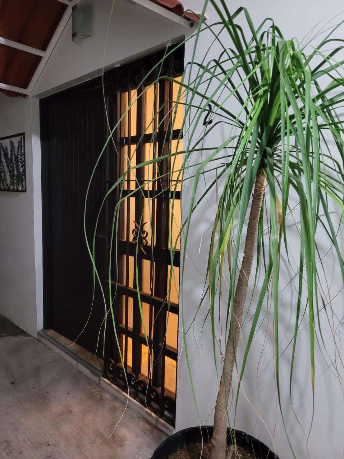 オアハカ州Casa B & L Centrico Departamentoアパートメント エクステリア 写真